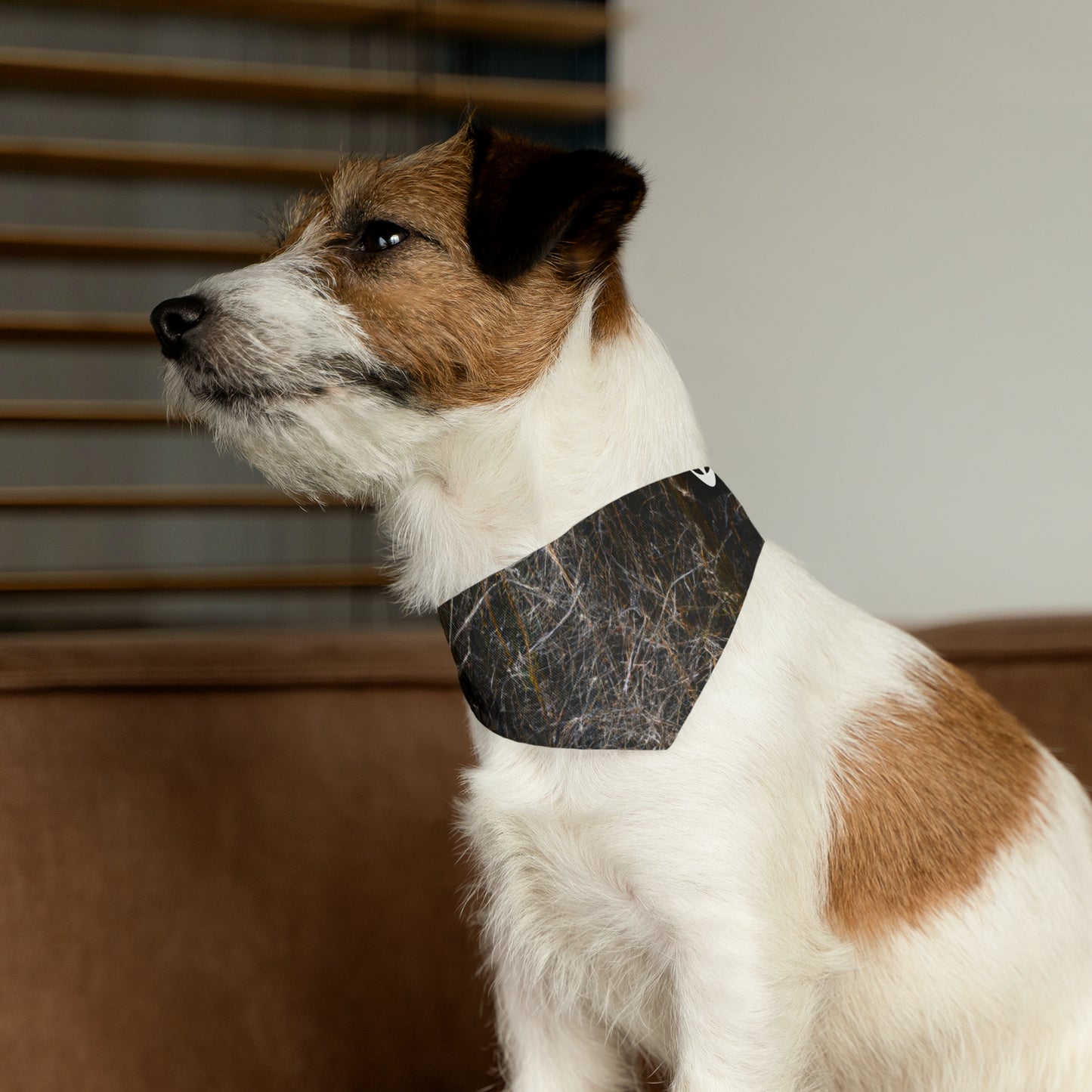 "Un vistazo a la gloria de la naturaleza": el collar de bandana para mascotas alienígenas