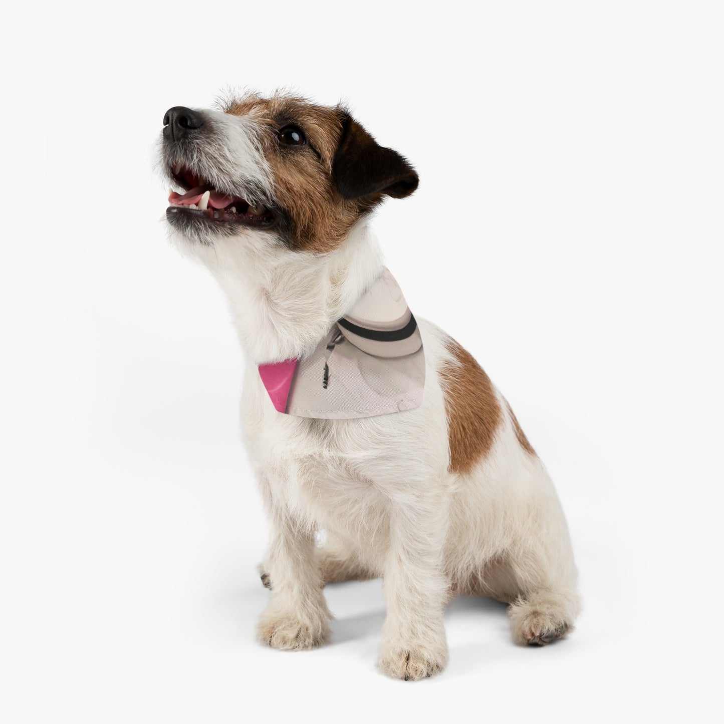 "A Reflection in the Bathroom" - The Alien Pet Bandana Collar