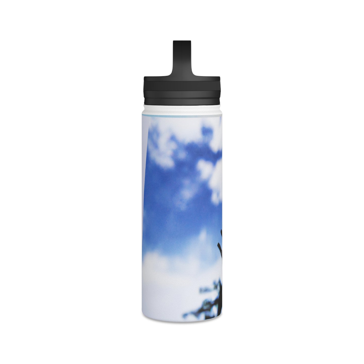 "Colors of Home: Exploring Place Through Art" - The Alien Stainless Steel Water Bottle, Handle Lid