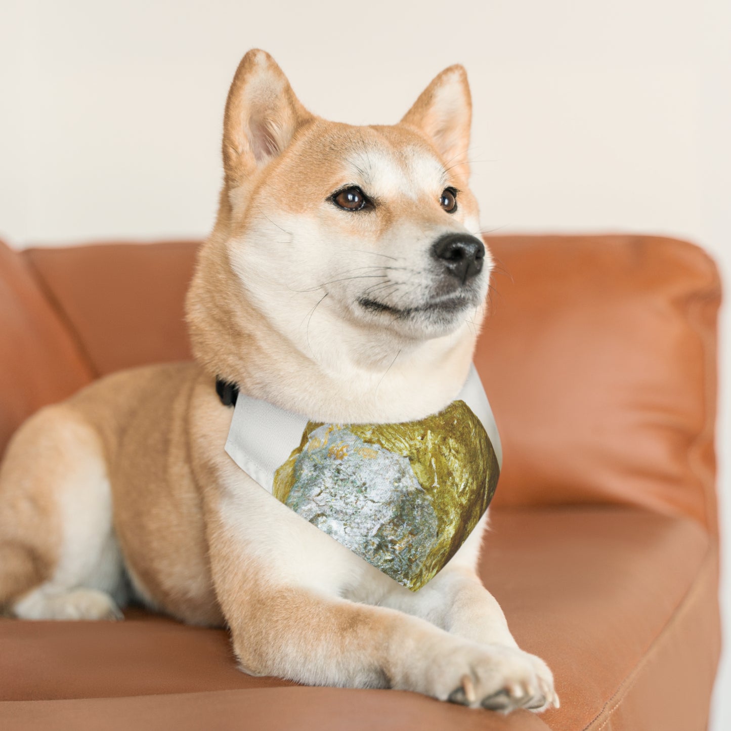 "Conquistando la batalla interior" - El collar de bandana para mascotas alienígenas