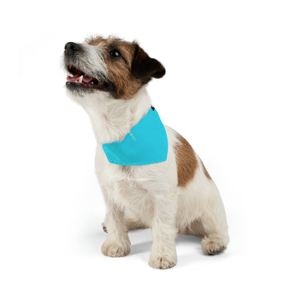 "A Breezy Skyscape: Una combinación de tradición y modernidad" - The Alien Pet Bandana Collar