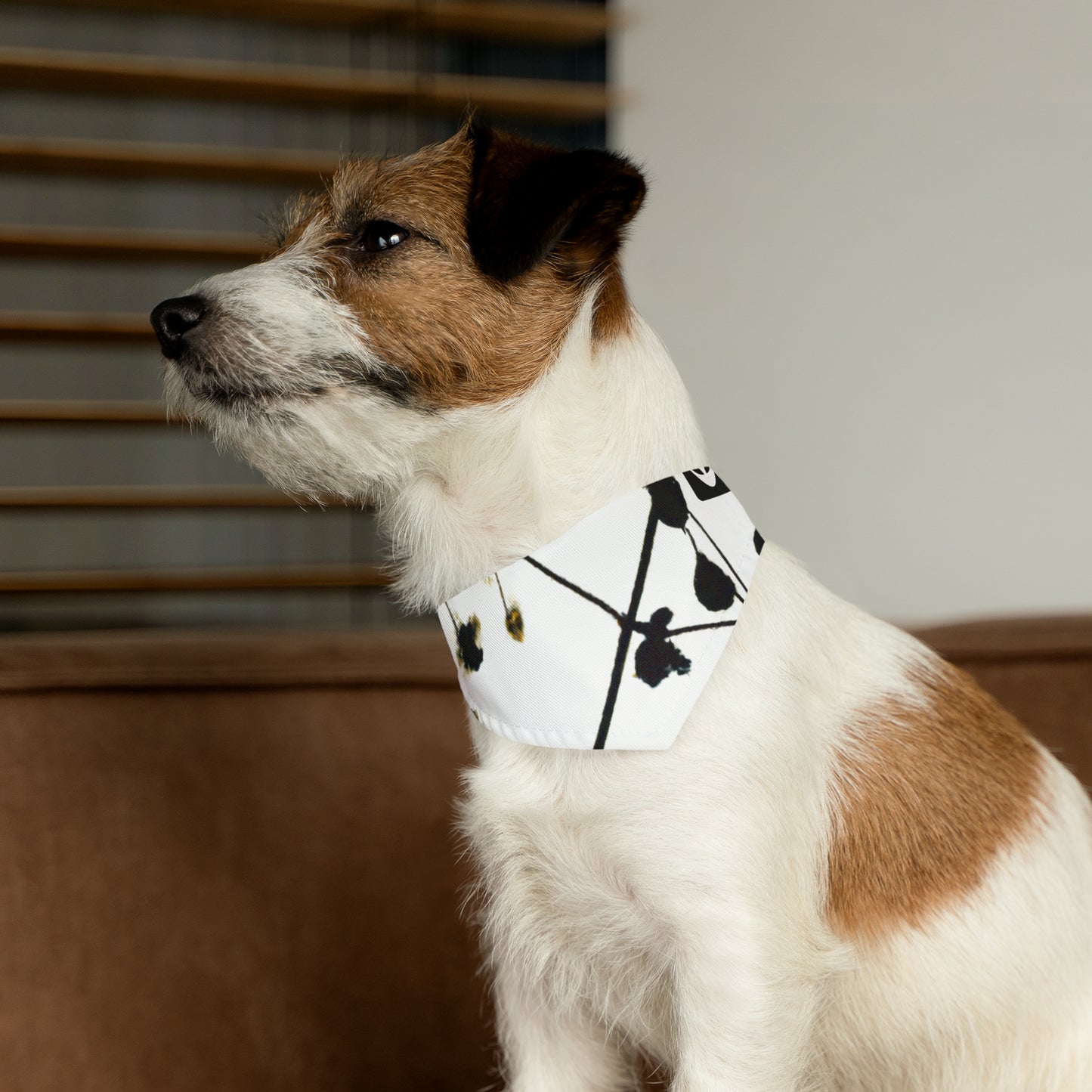 "Una iluminación de luces y sombras" - El collar de bandana para mascotas alienígenas