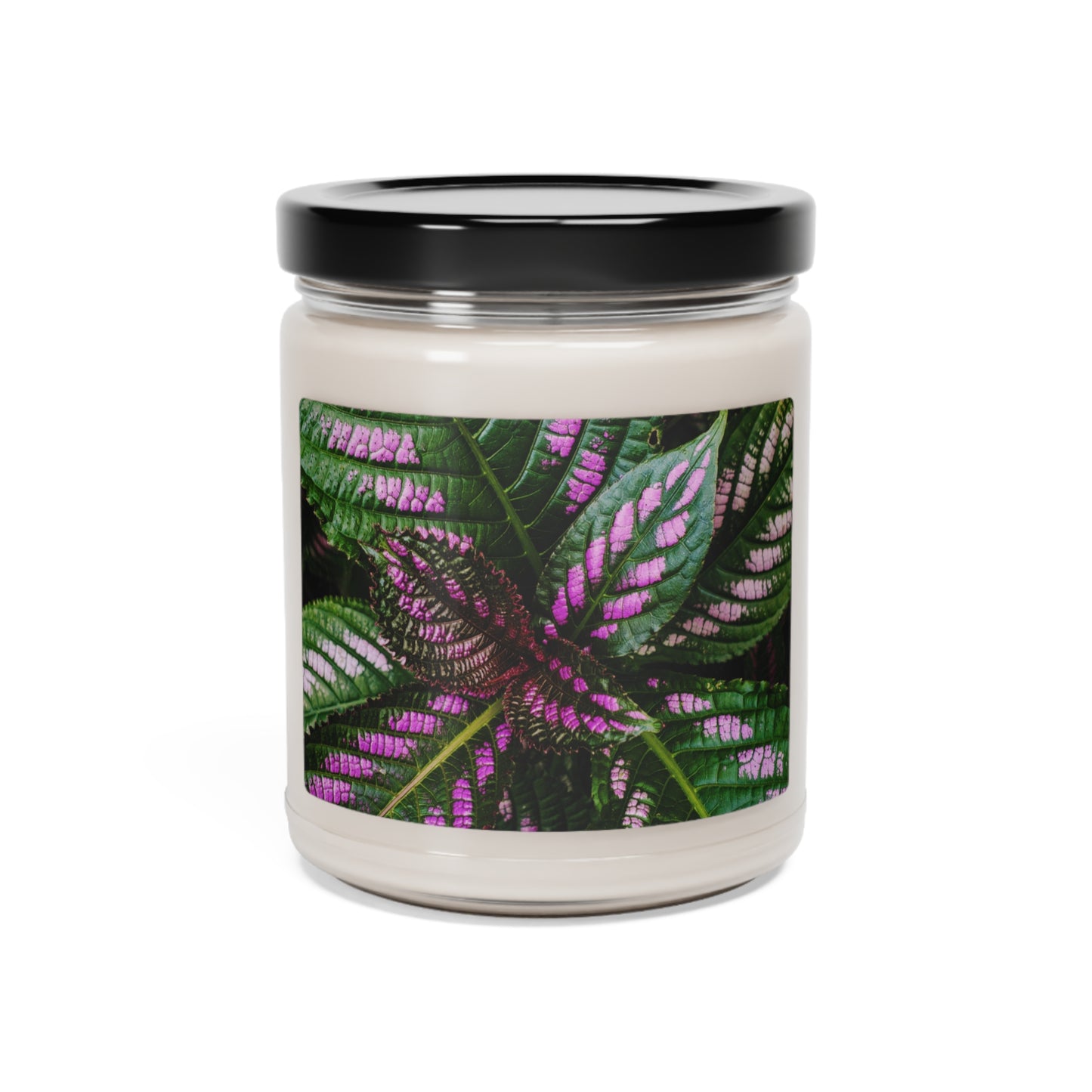 Palette of Wonders - Scented Soy Candle 9oz