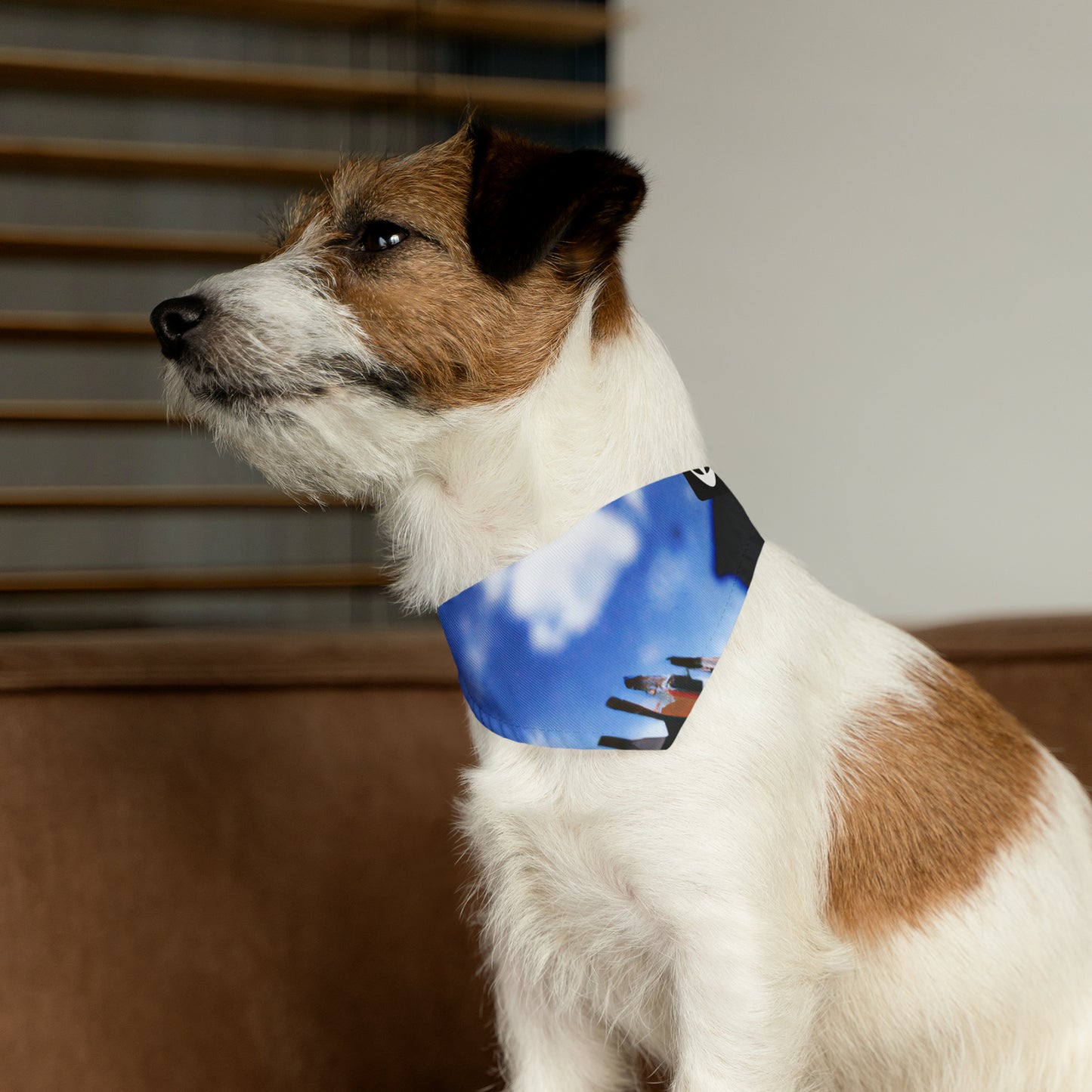 "Colores del hogar: exploración del lugar a través del arte" - The Alien Pet Bandana Collar