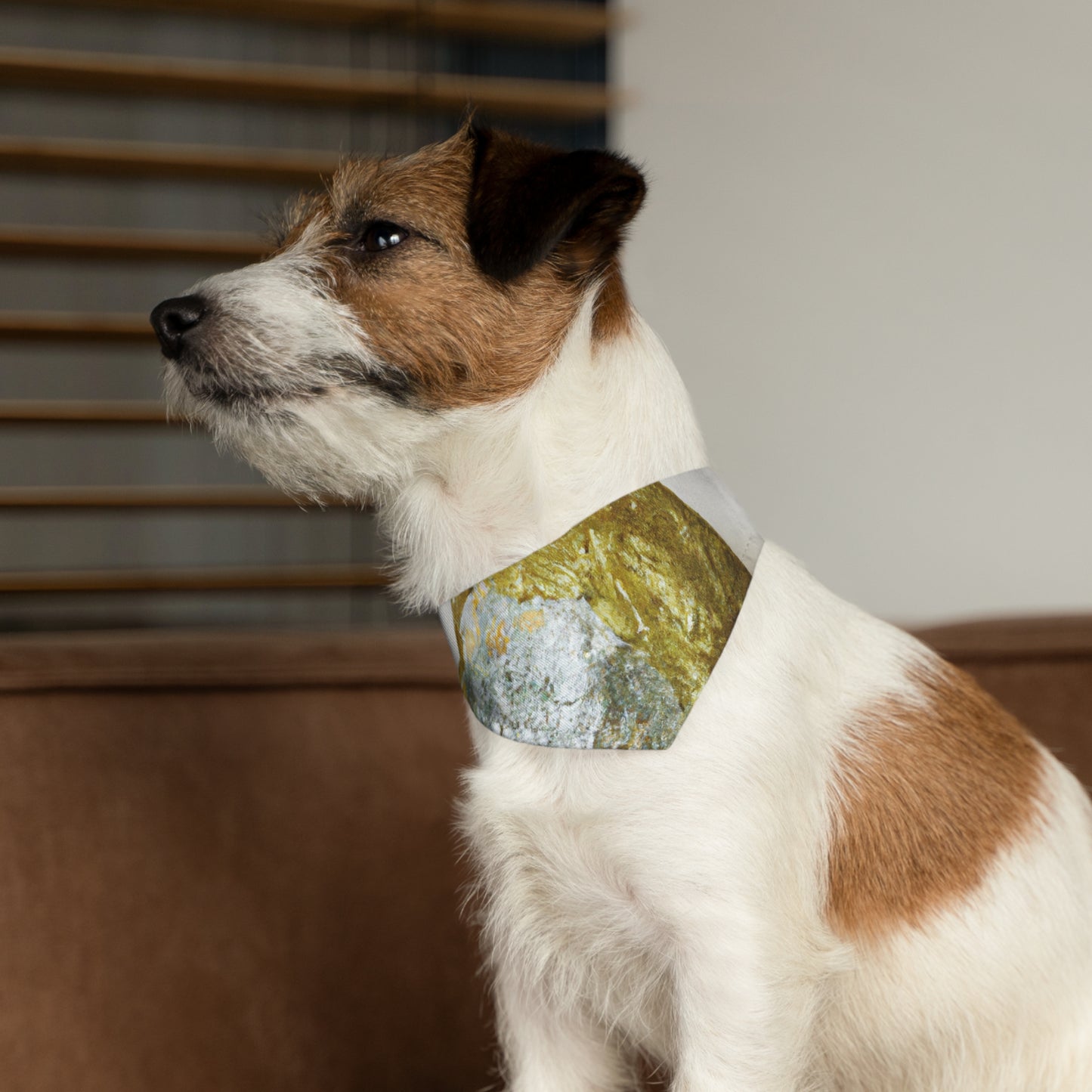 "Conquistando la batalla interior" - El collar de bandana para mascotas alienígenas