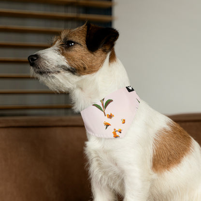 "Explorando la paleta de la naturaleza: un experimento en arte abstracto" - The Alien Pet Bandana Collar