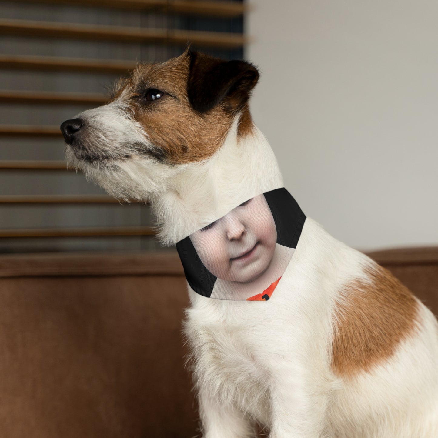 "Comienzos ansiosos: el futuro incierto de un niño". - El collar de bandana para mascotas alienígenas