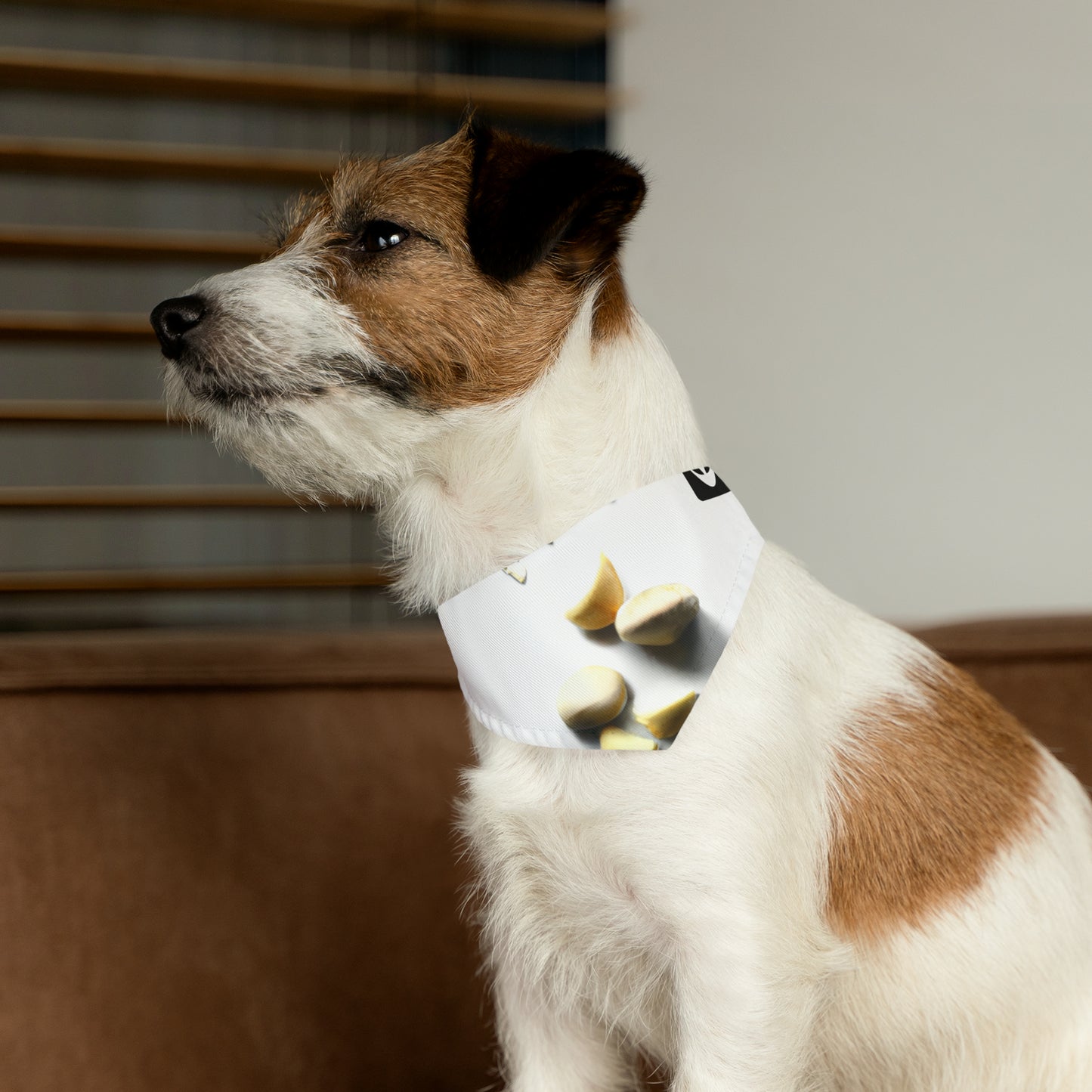 "Cocinando creatividad: arte de cocina de bricolaje" - The Alien Pet Bandana Collar