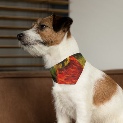 El extraño envuelto en una capa roja andrajosa - El collar de bandana para mascotas alienígenas