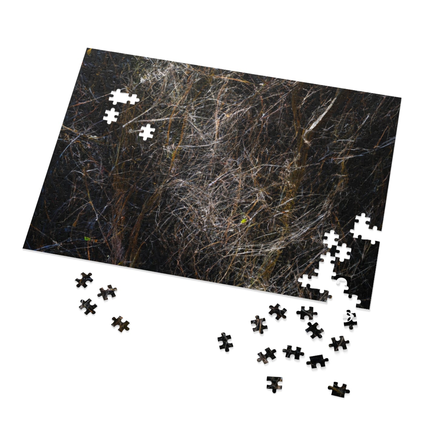 "A Glimpse of Nature's Glory" - The Alien Jigsaw Puzzle