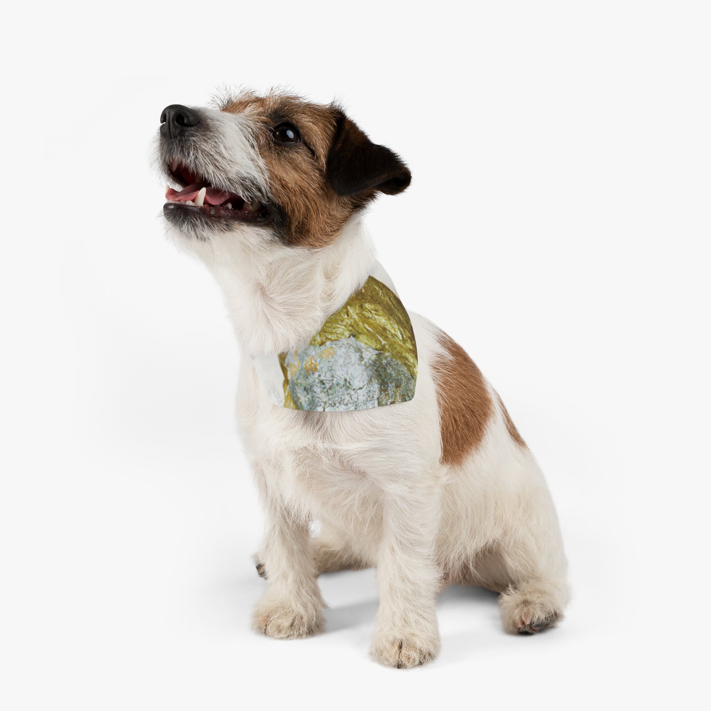 "Conquistando la batalla interior" - El collar de bandana para mascotas alienígenas