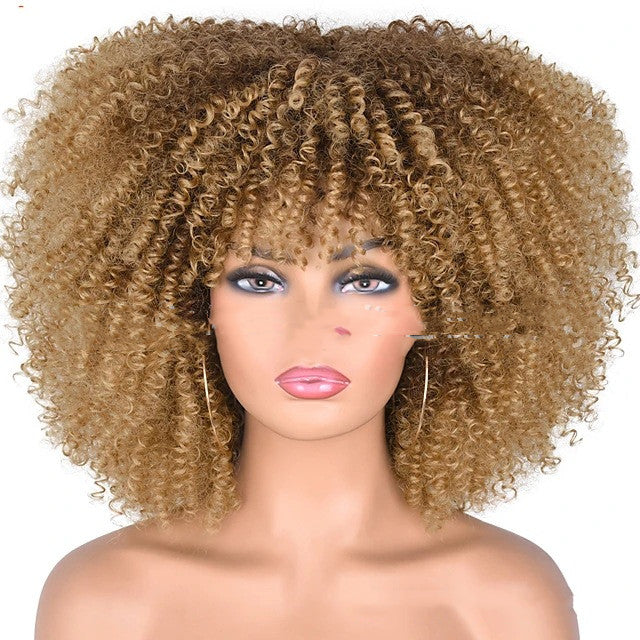 Small Curly Hair Rose Mesh Synthetic Headgear