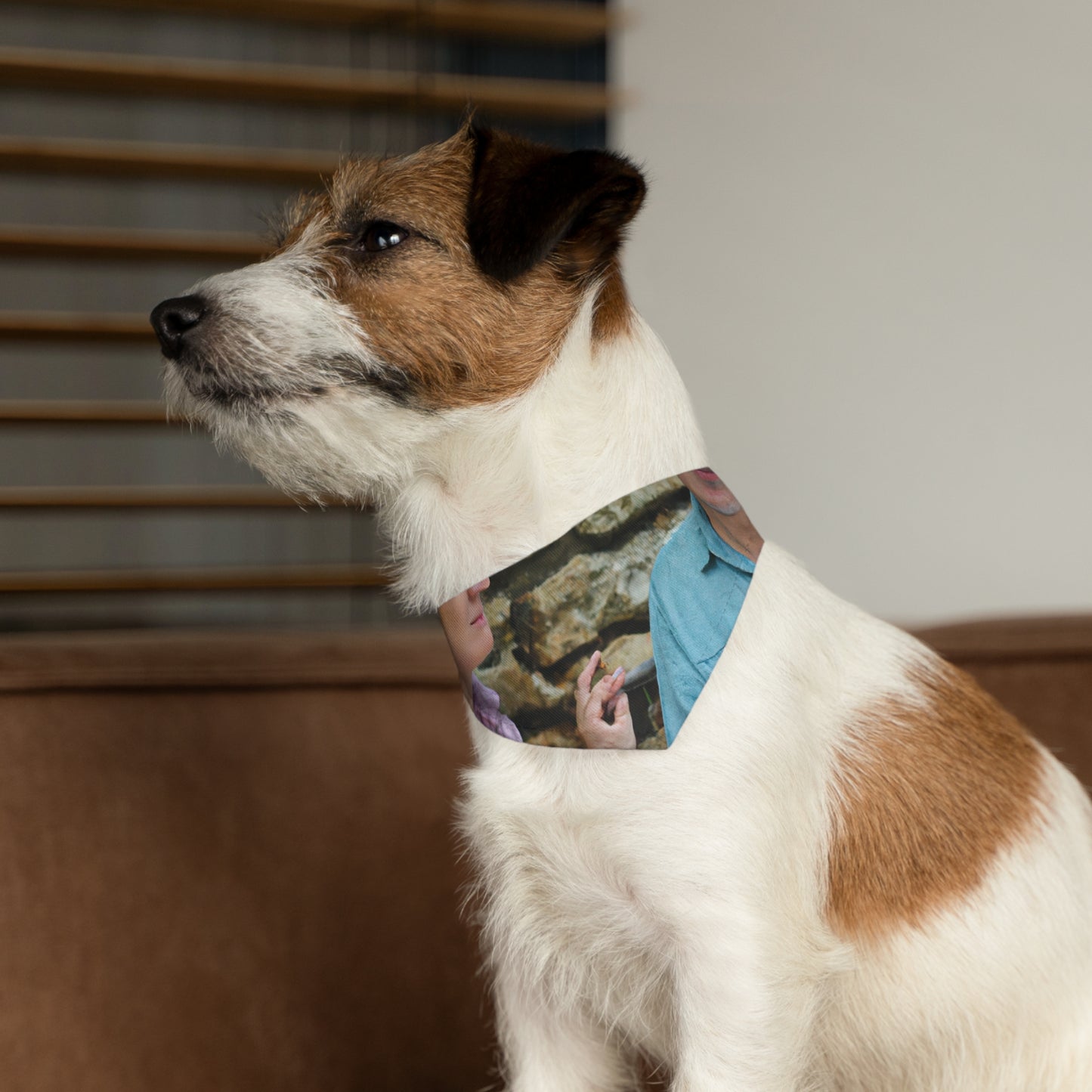 salir a caminar

 "El mundo misterioso revelado por la pareja de ancianos" - El collar de bandana para mascotas alienígenas