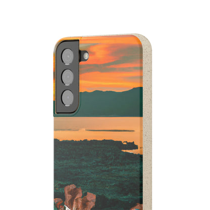 „Inspirierende Visionen: Eine visuelle Erkundung motivierender Ideen“ – The Alien Eco-Friendly Cases