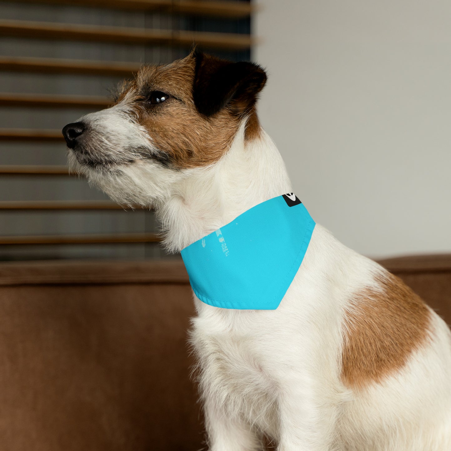 "A Breezy Skyscape: Una combinación de tradición y modernidad" - The Alien Pet Bandana Collar