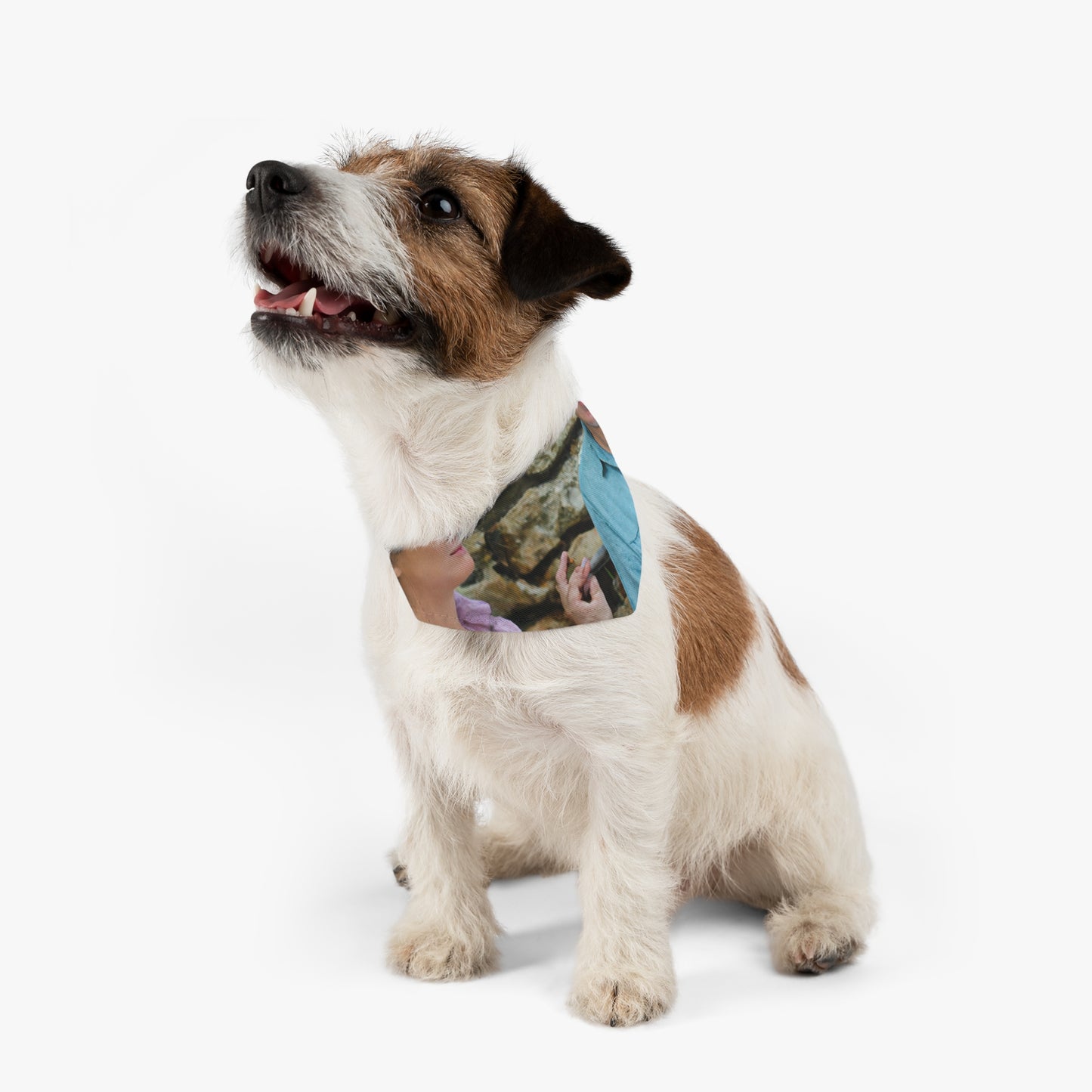 out on a walk

"The Mysterious World Unveiled by the Elderly Pair" - The Alien Pet Bandana Collar