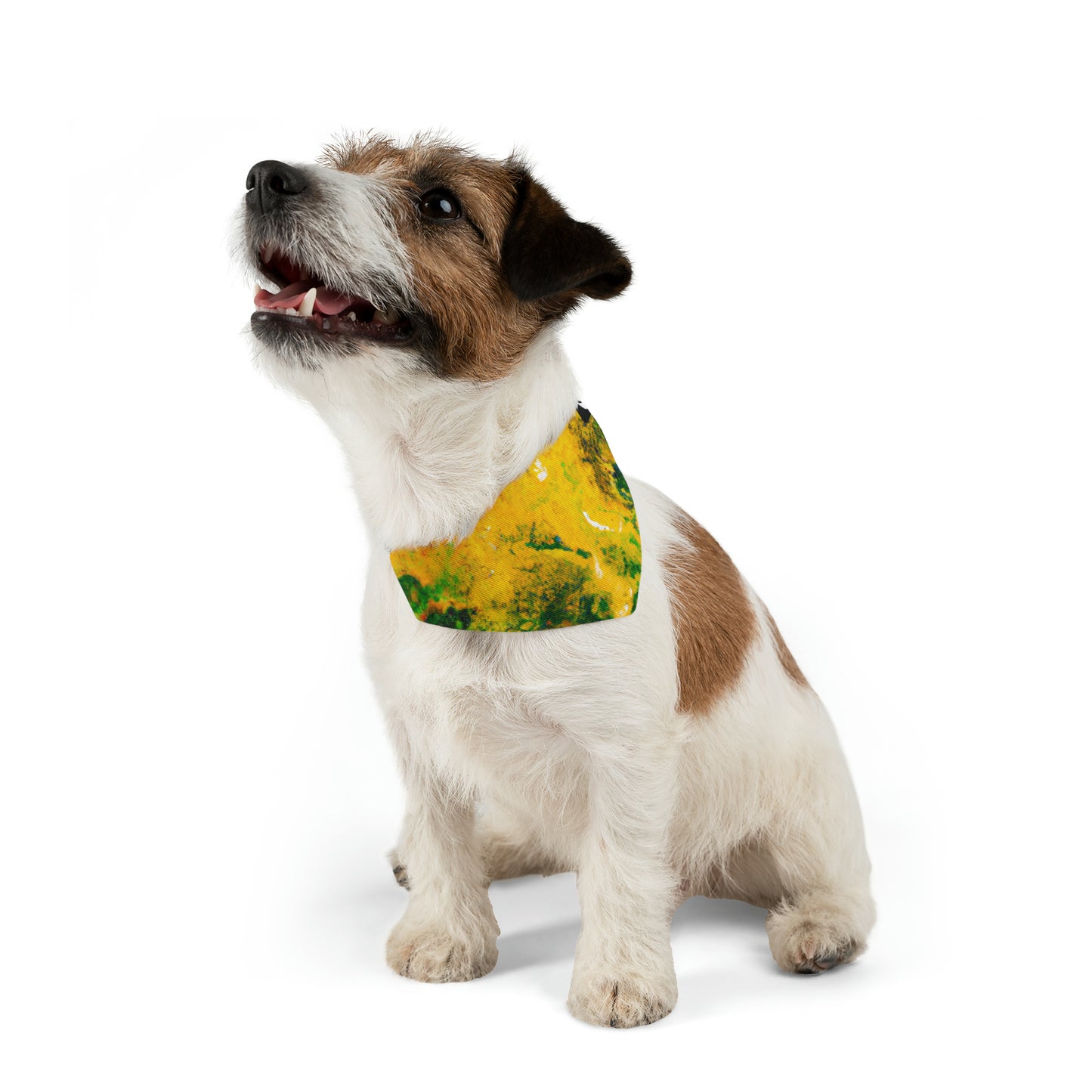 „Exploring Colorful Textures“ – Das Alien Pet Bandana-Halsband