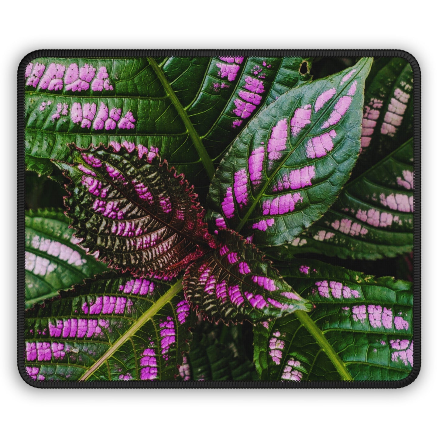 Palette of Wonders- The Alien Gaming Mouse Pad