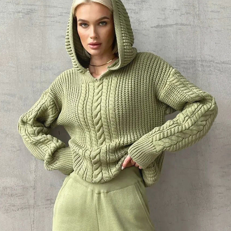 Women Clothing Autumn Street Shooting Hooded Long Sleeve Knitted Sweater
