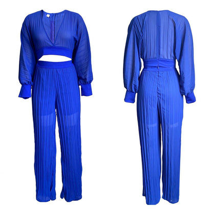 Long Sleeved V neck Top Wide Leg Pants Suit Pleated Wide Leg Pants Two Piece Suit