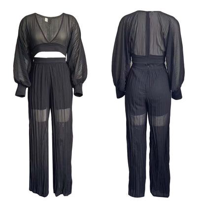 Long Sleeved V neck Top Wide Leg Pants Suit Pleated Wide Leg Pants Two Piece Suit