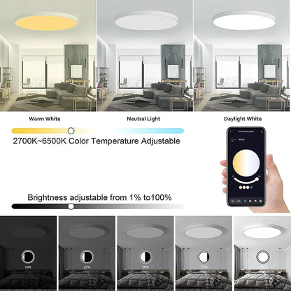 Smart Tuya Bluetooth LED Round Ceiling Light RGB CW WW Colorful Changing Dimmable Living Room Lights APP Remote Control