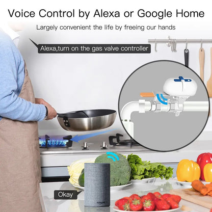 Tuya WiFi inteligente/ZigBee tubería de agua y Gas controlador de válvula de cierre automático Control de aplicación remota Smart Life con Alexa Google Home