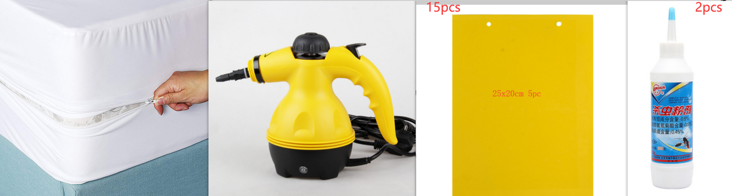 Steam cleaner