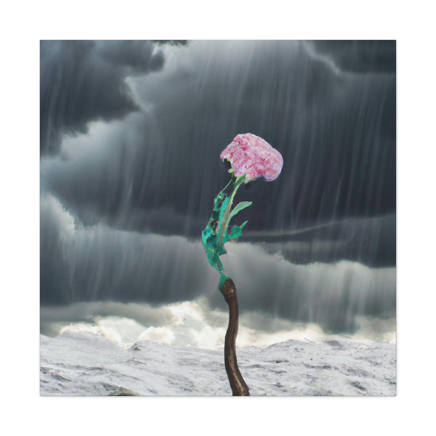 "Aight Against the Storm: The Story of a Lonely Flower" - The Alien Canva