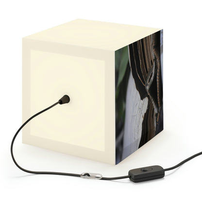 Unbeknownst to its readers, the book possesses magical powers.

"The Forgotten Tome of Magic" - The Alien Light Cube Lamp