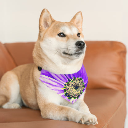 Purple Petals Popping: Create an Eye-Catching Daisy-Rose Fusion - The Alien Pet Bandana Collar