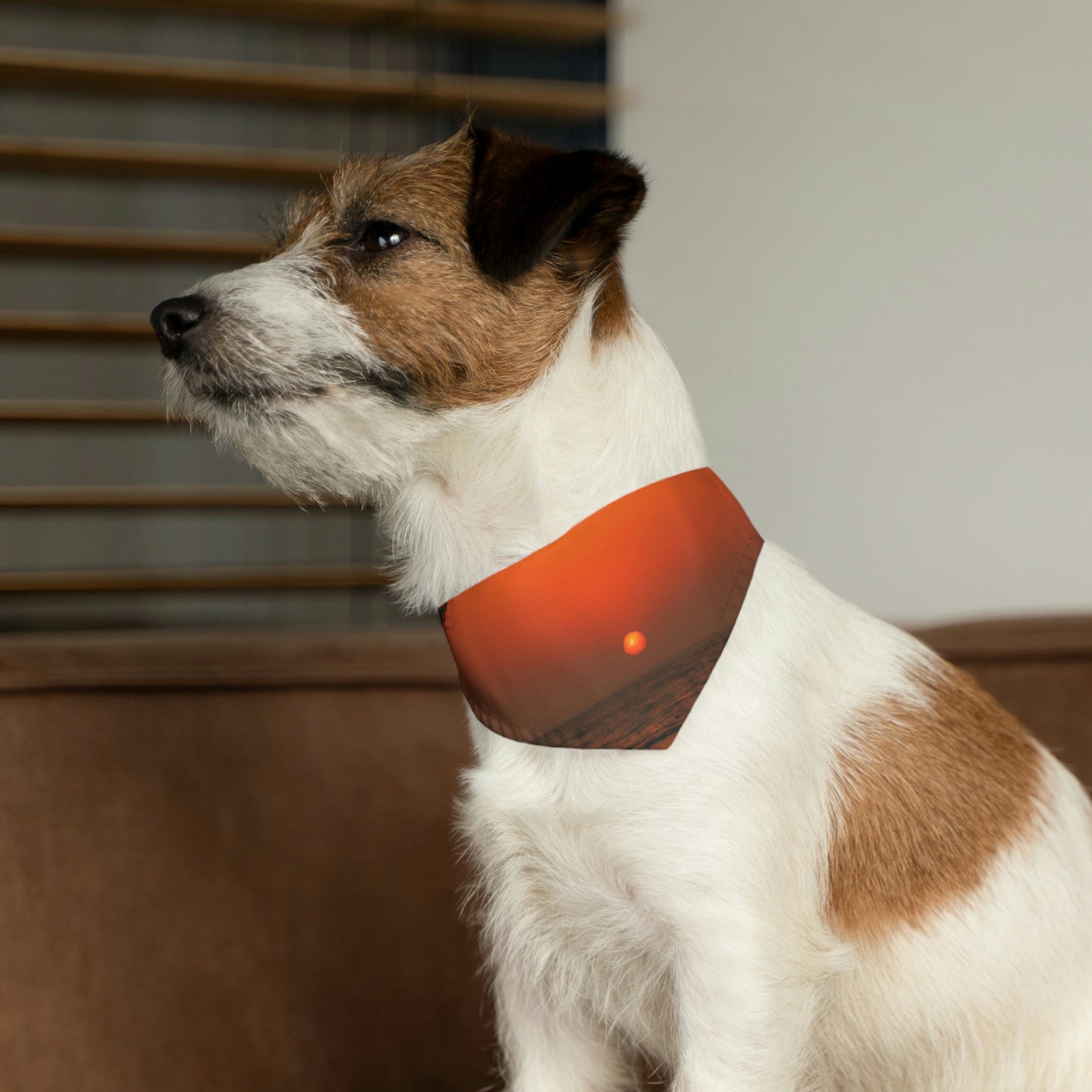 "Soñando con el destino" - El collar de bandana para mascota alienígena