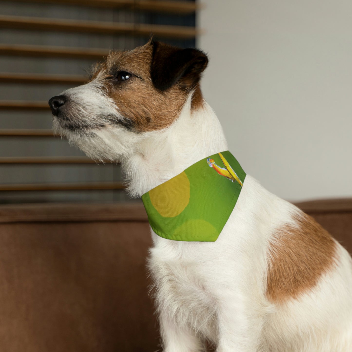 "A Lantern in the Mist." - The Alien Pet Bandana Collar