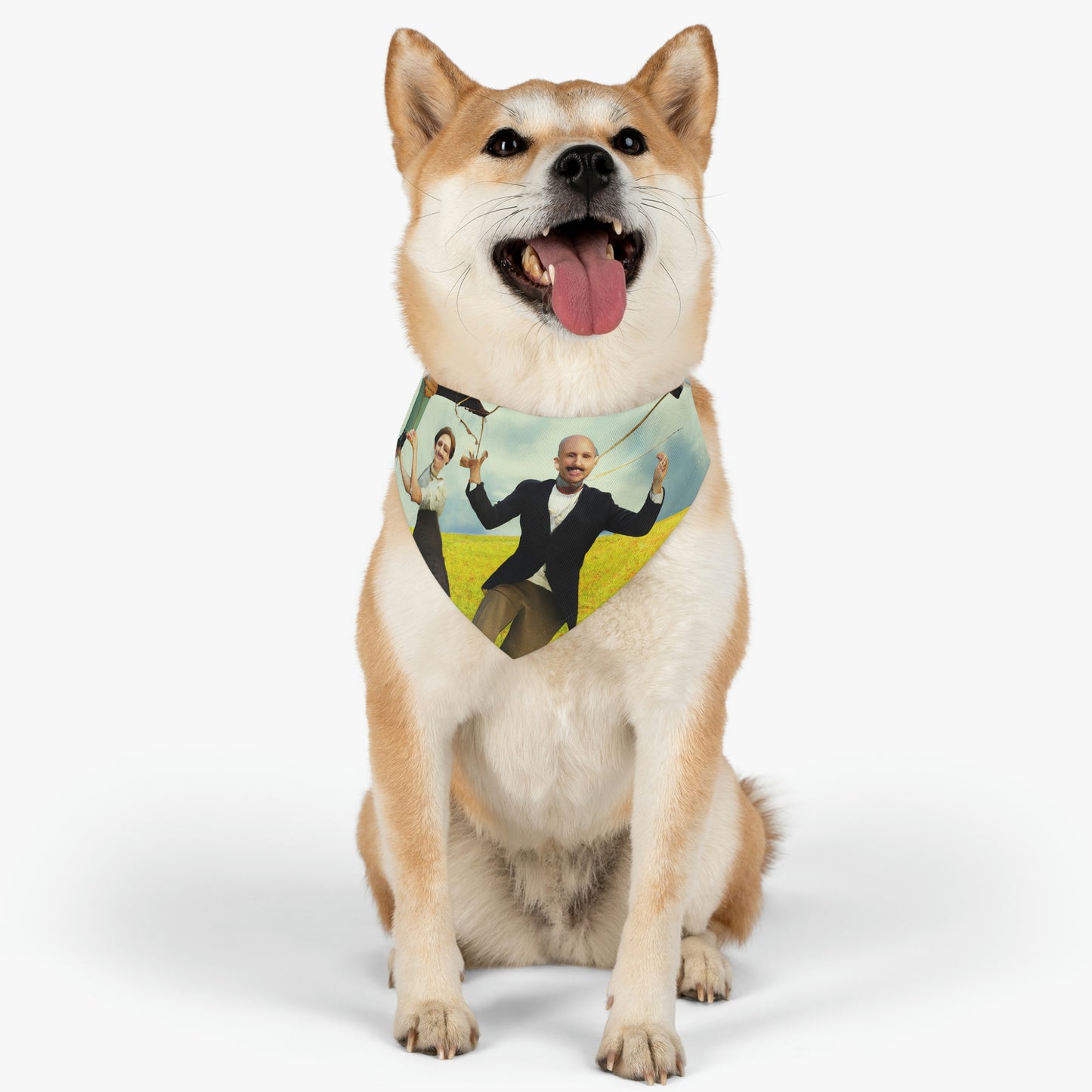 "A Kite Day in the Meadow" - The Alien Pet Bandana Collar