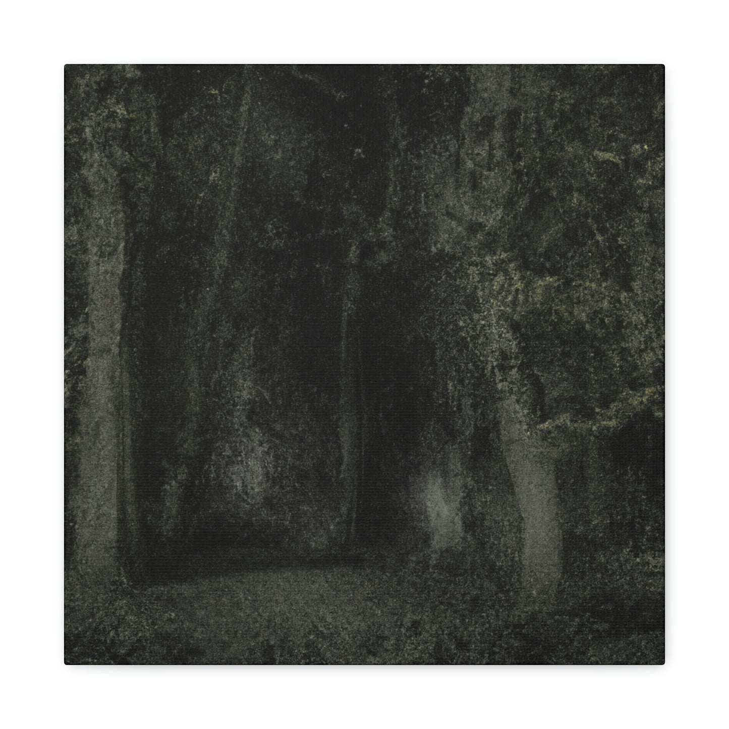 "The Apparition Woods" - Die außerirdische Leinwand