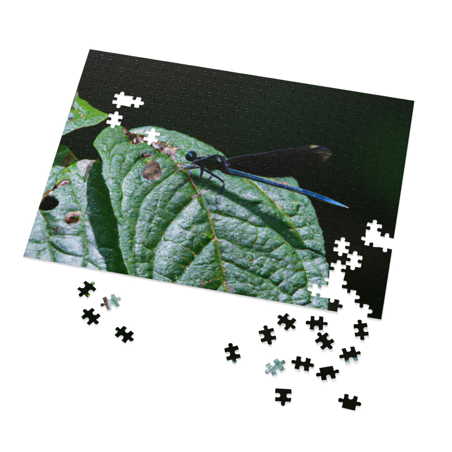 "A Moment of Transience" - The Alien Jigsaw Puzzle