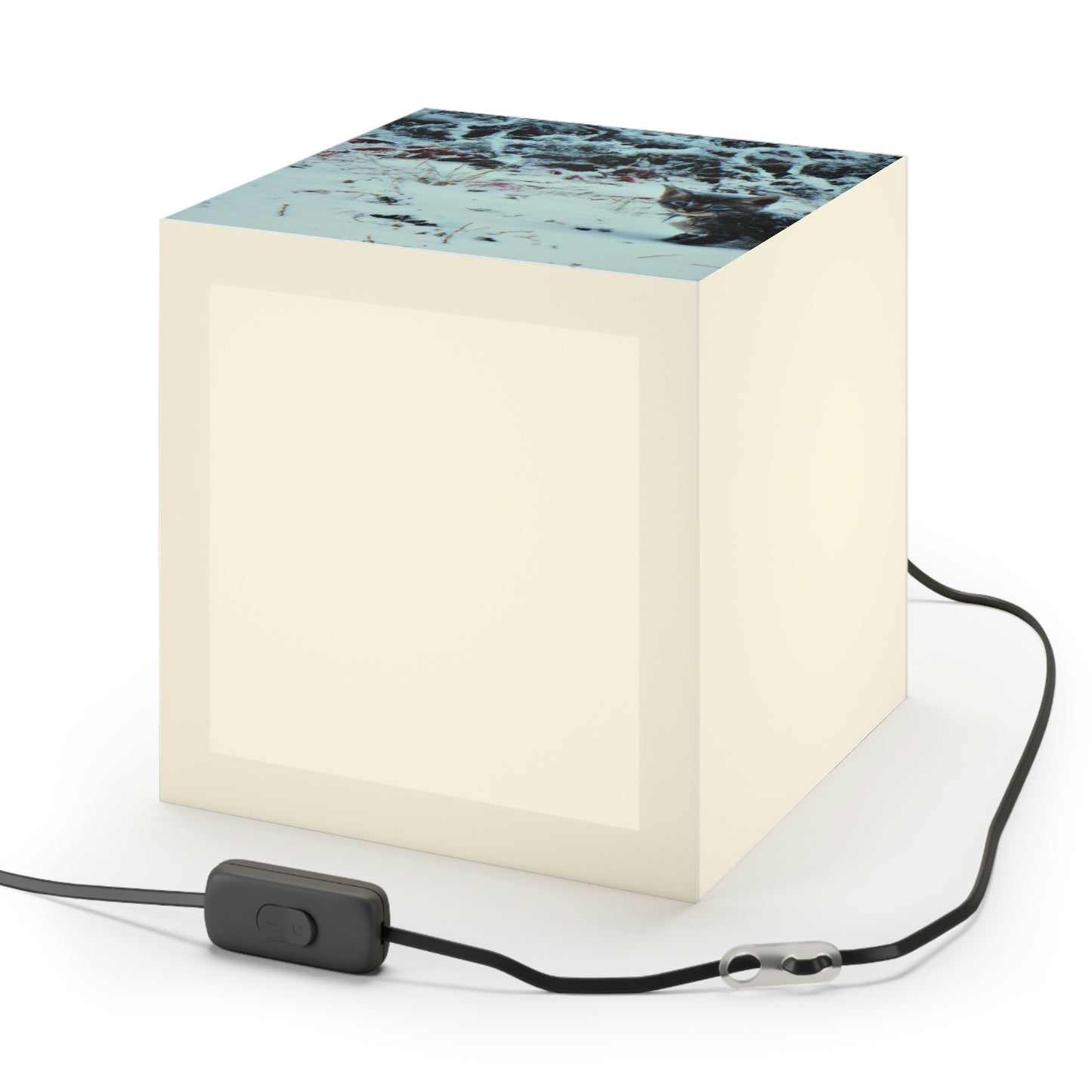 "Brave Kitten in the Frozen Storm" - The Alien Light Cube Lamp