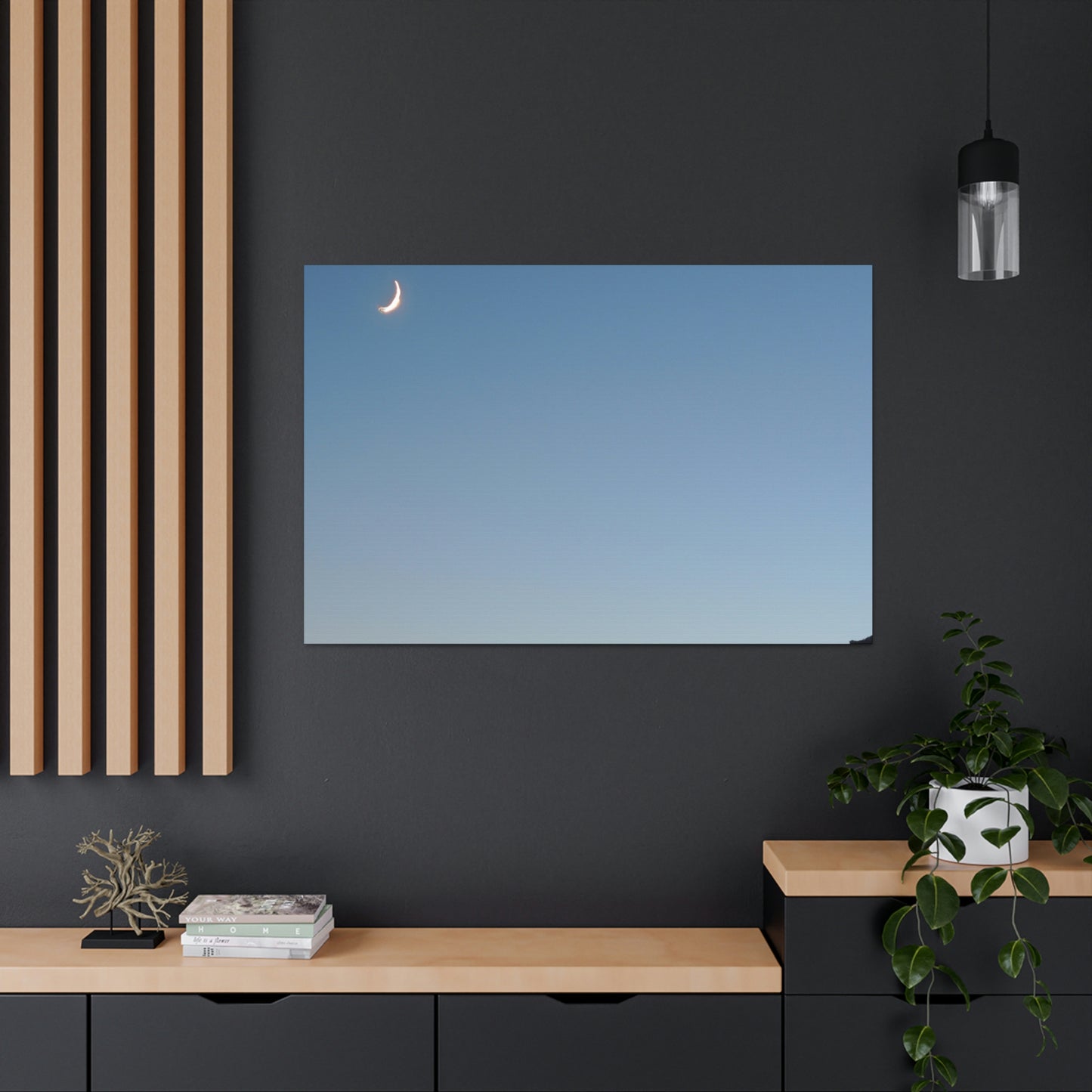 The Crescent Moon in Winter's Shadow - The Alien Canva