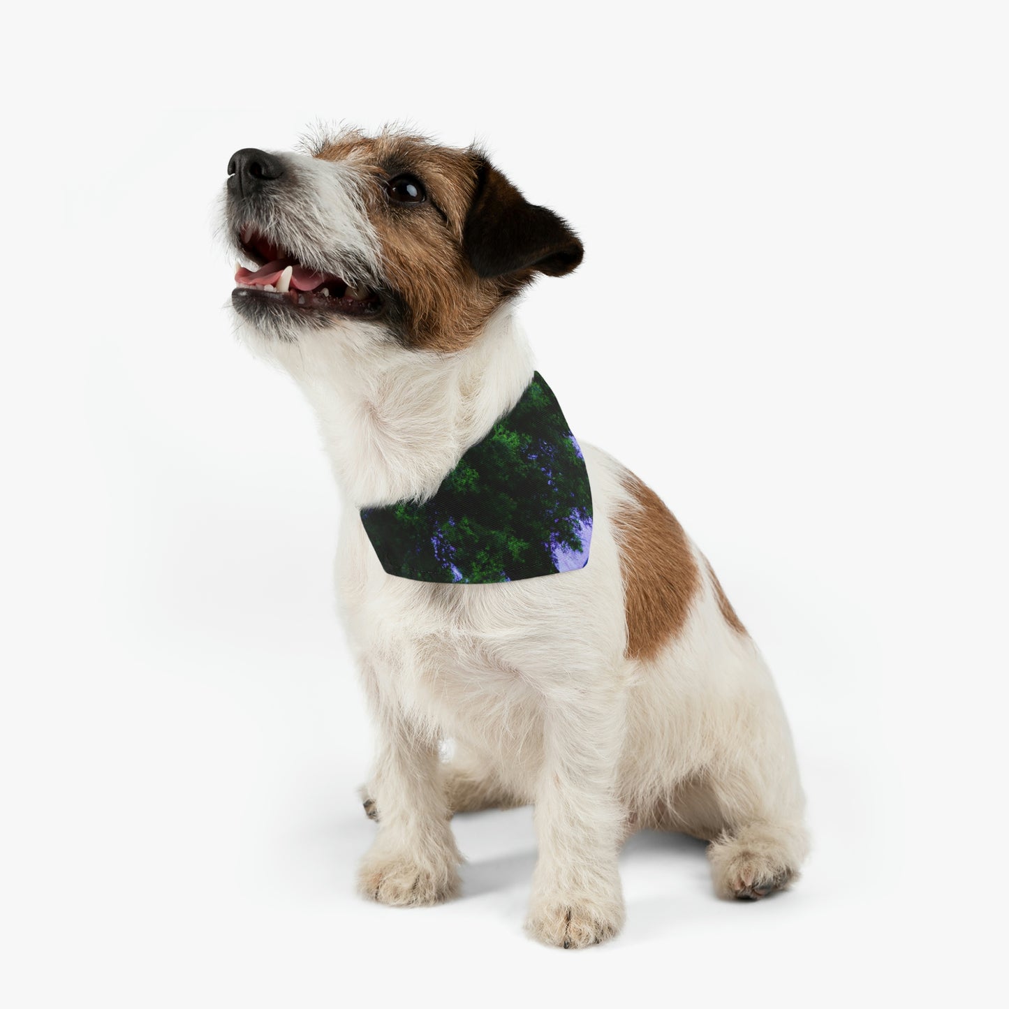 "Bajo el cielo lluvioso". - El collar de bandana para mascota alienígena