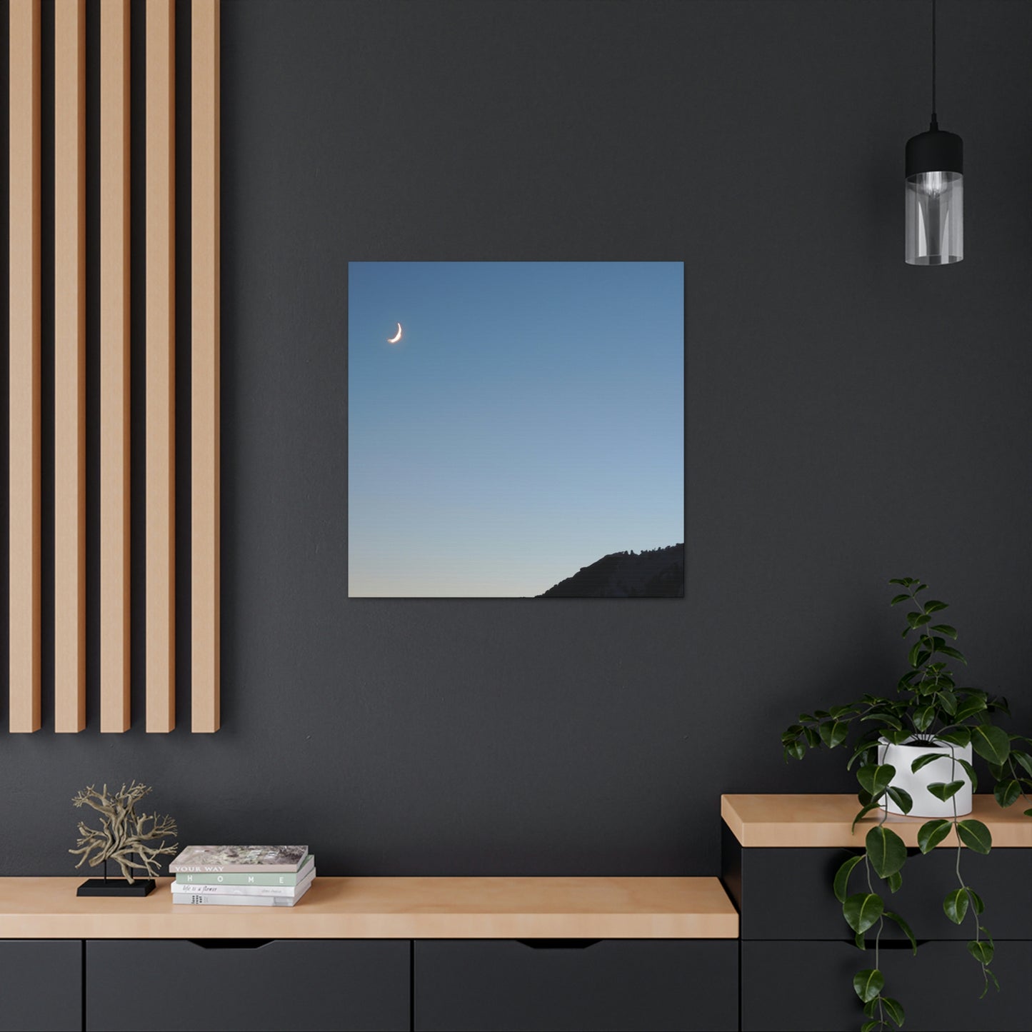 The Crescent Moon in Winter's Shadow - The Alien Canva