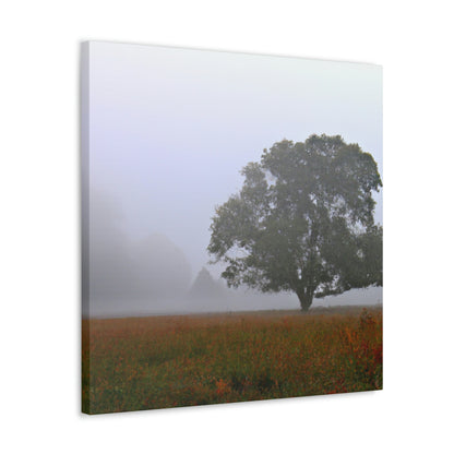 The Lonely Tree in the Foggy Meadow - The Alien Canva