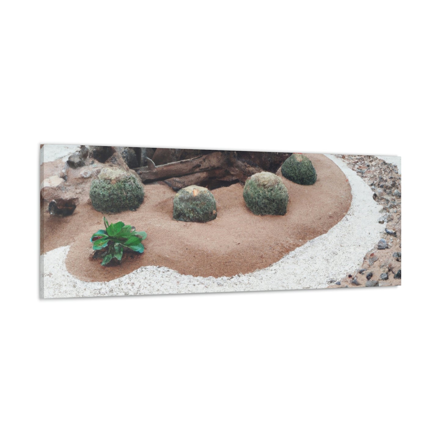 "Greenery in the Desert: Establishing a Garden Oasis" - The Alien Canva