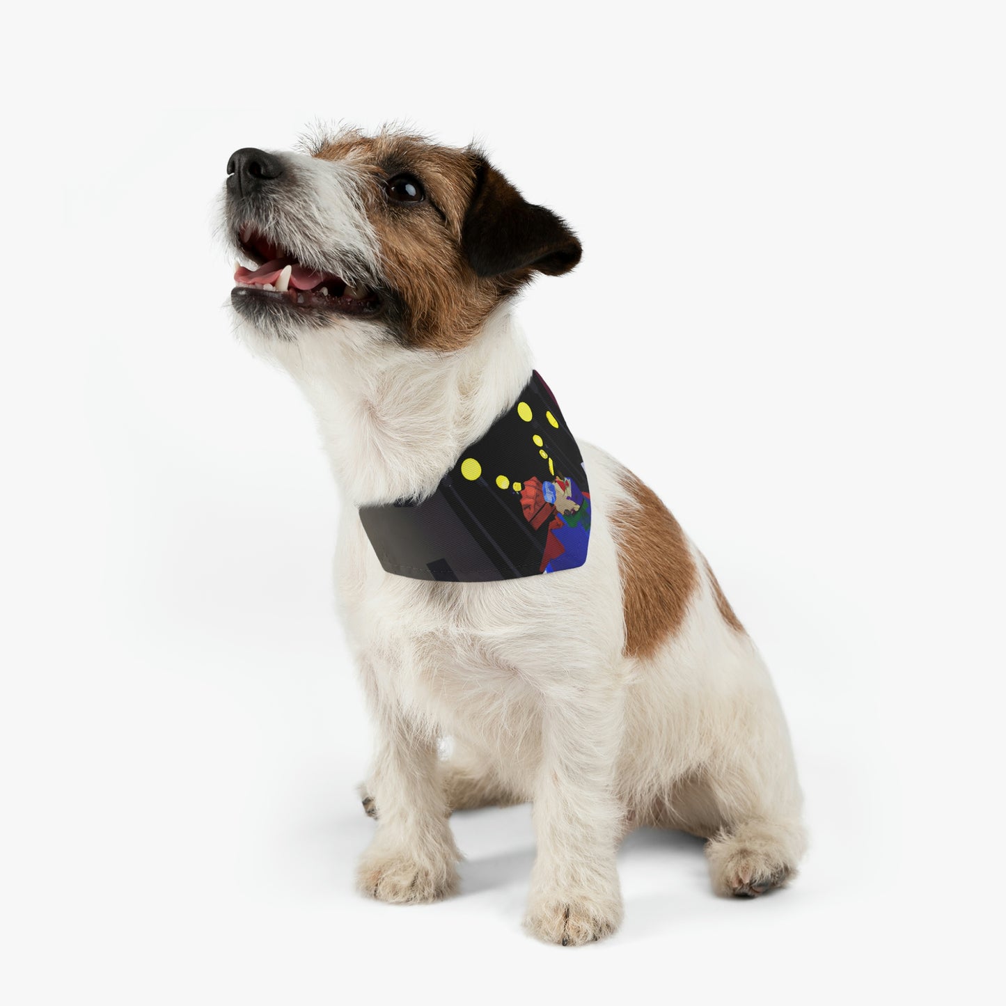 "Alley Star Juggler" - El collar de bandana para mascota alienígena