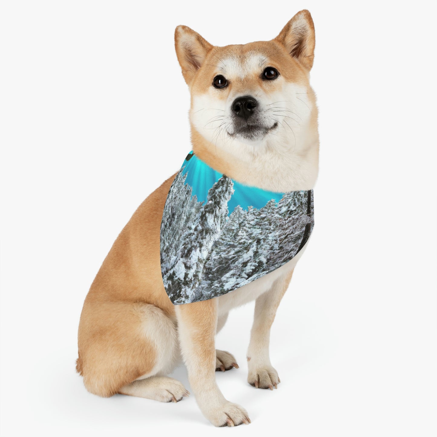 "Frostbitten Hero" - The Alien Pet Bandana Collar