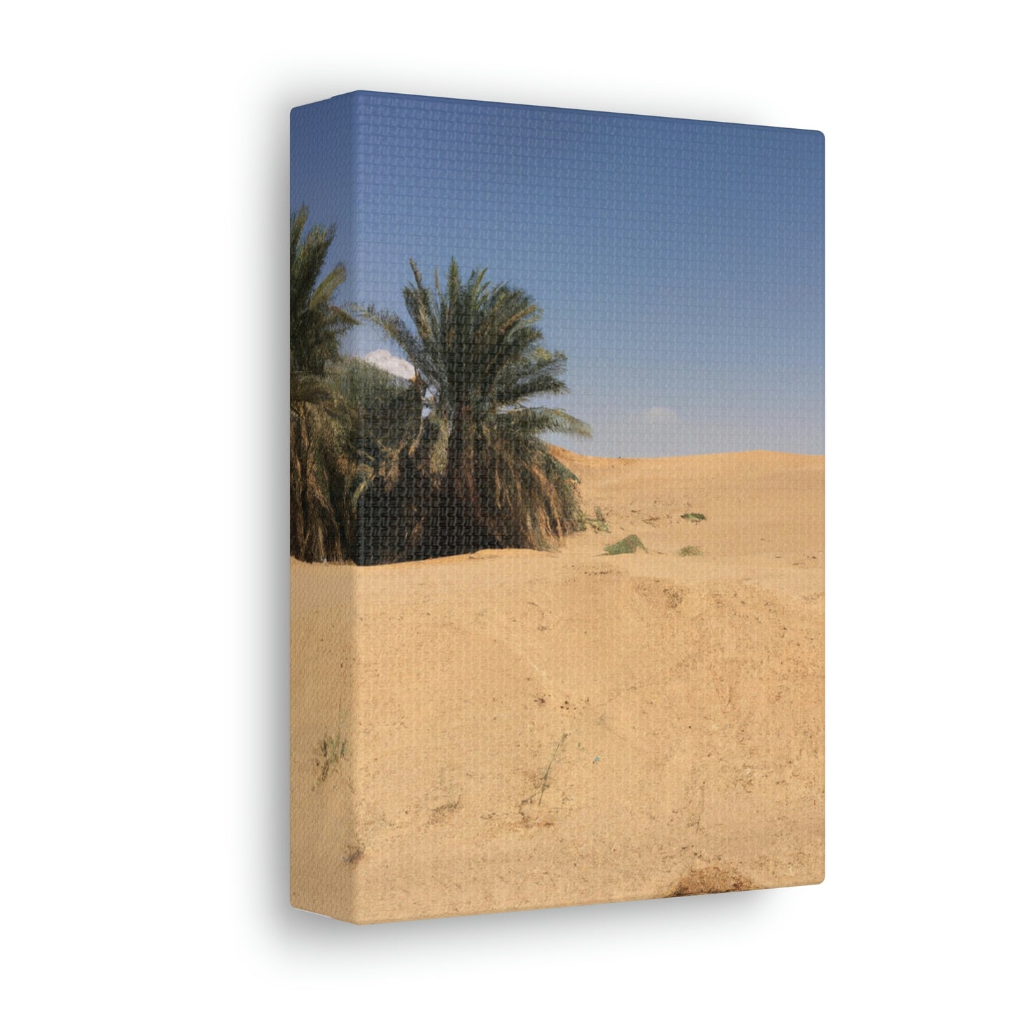 "A Desert Oasis" - The Alien Canva