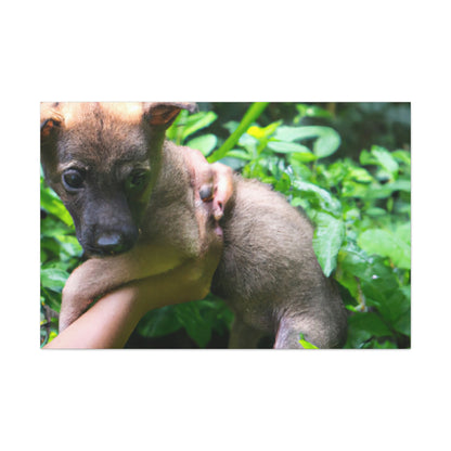 "Lost in the Woods: A Puppy's Rescue" - The Alien Canva