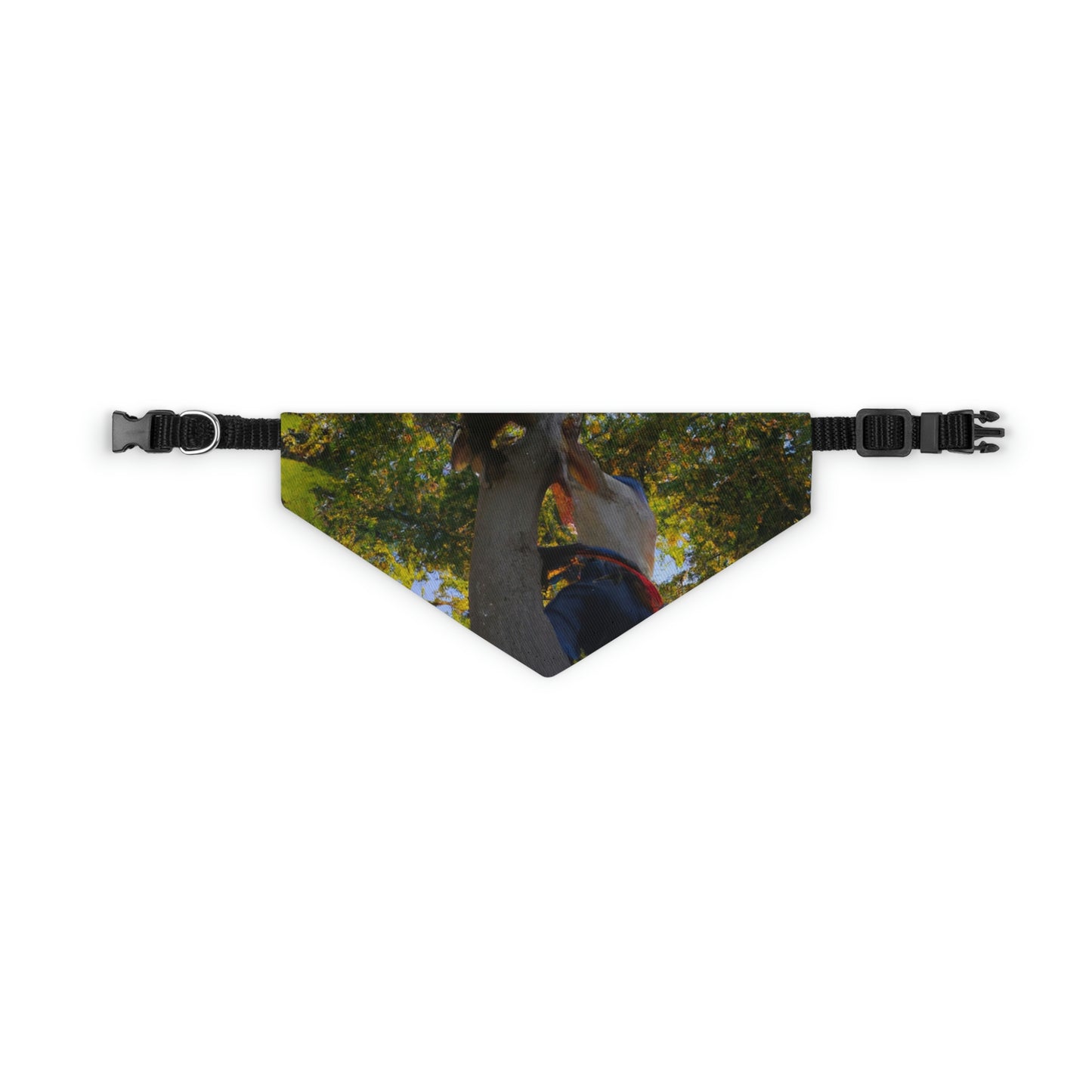 "Furry Retter in a High Perch" - Das Alien Pet Bandana Halsband