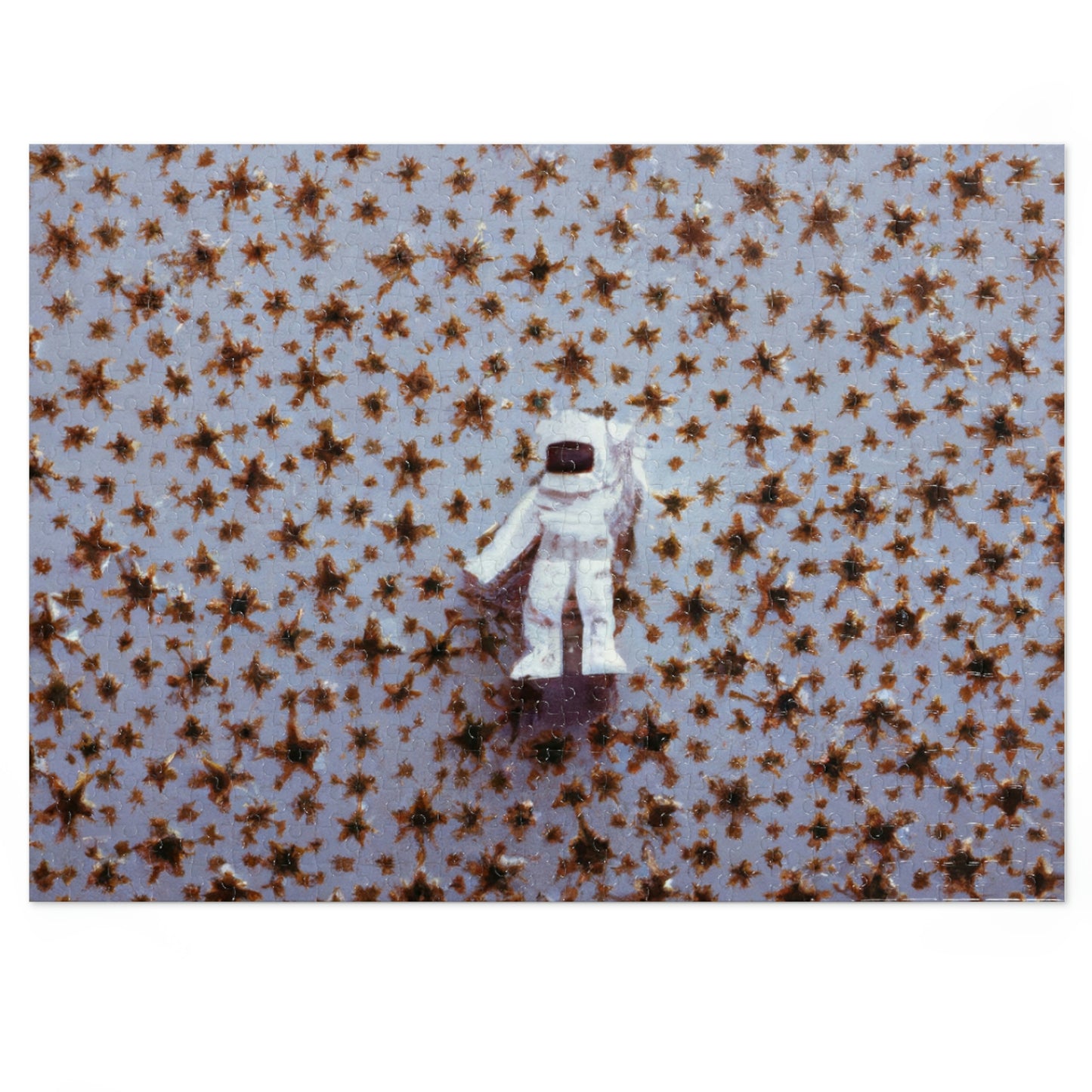 "A Small Adventurer Among Giant Stars" - The Alien Jigsaw Puzzle