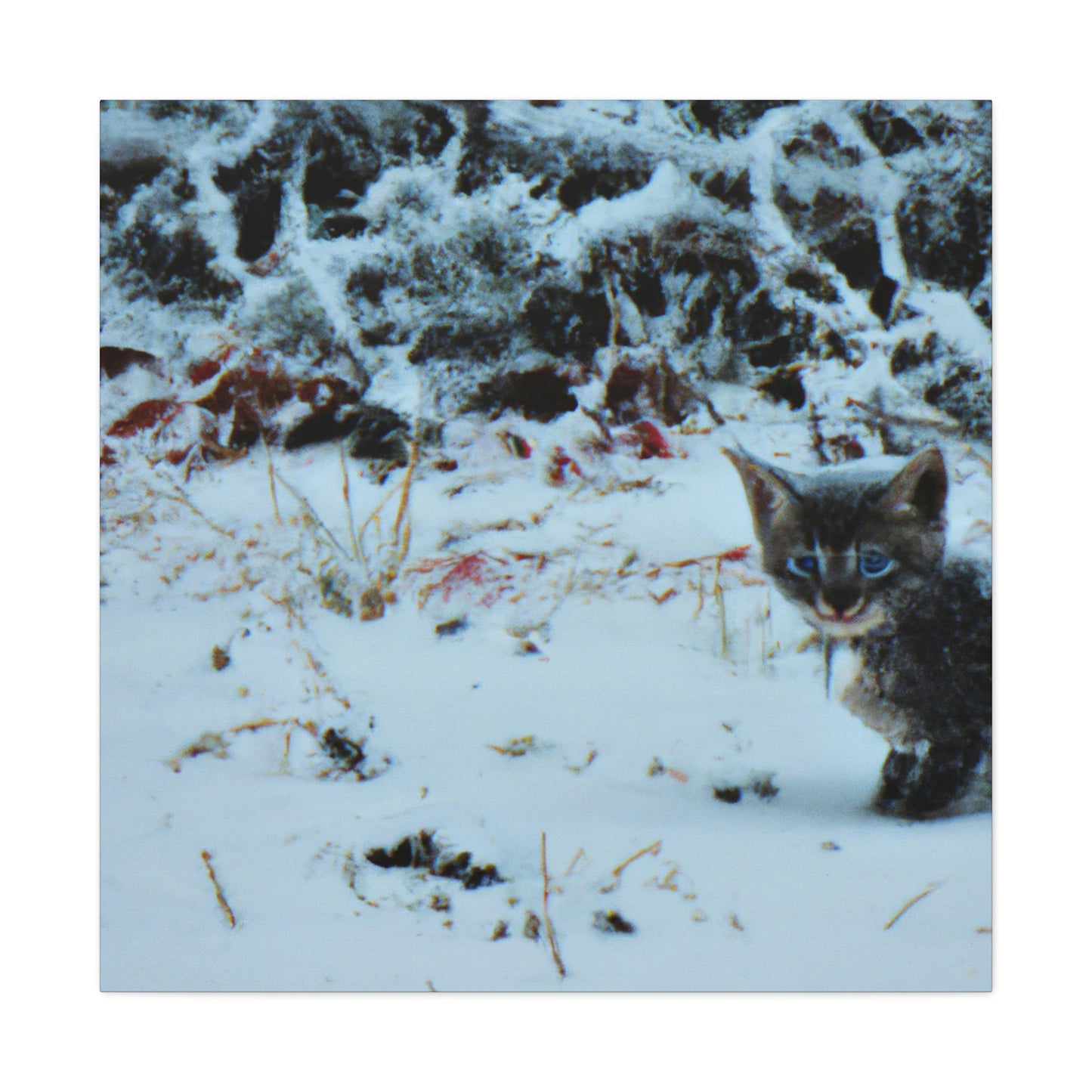 "Brave Kitten in the Frozen Storm" - The Alien Canva