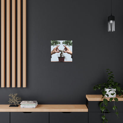 Bonsai Balance - Alex Art - Canvas